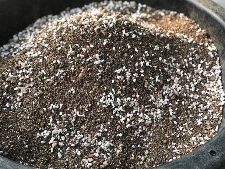 ดินปลูกกระบองเพชร